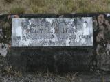 image of grave number 917778